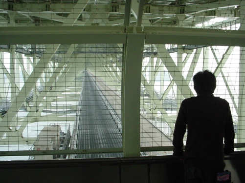 guriko2005111311.jpg